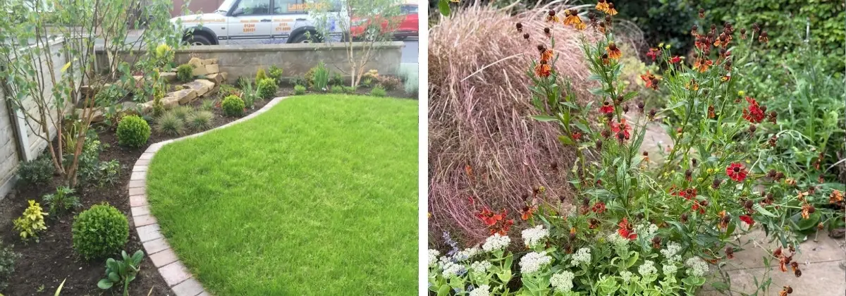 Garden Maintenance from Weeds and Pests