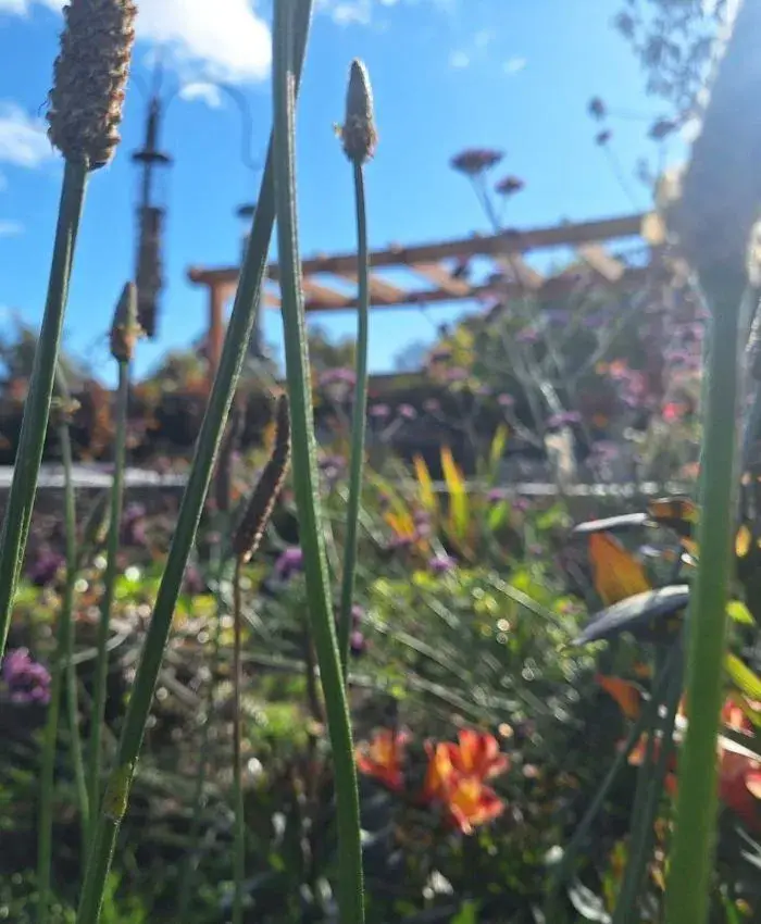 Weather Affects How Long a Garden Landscaping Project Takes