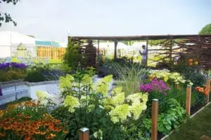RHS Gold Medal Garden Actual Landscaping Cheshire Flintshire Wirral North Wales 3