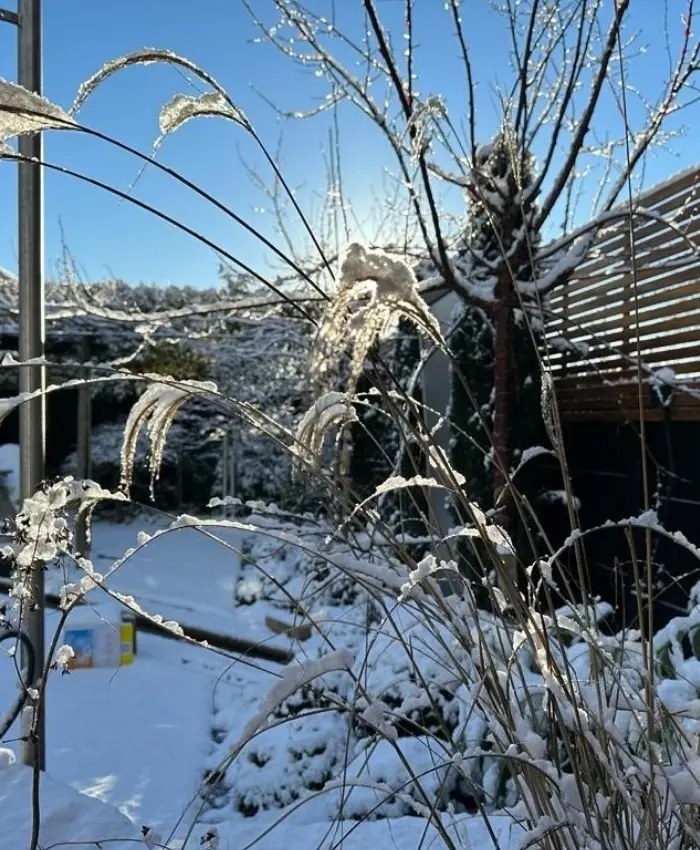 Garden Considered for Every Season