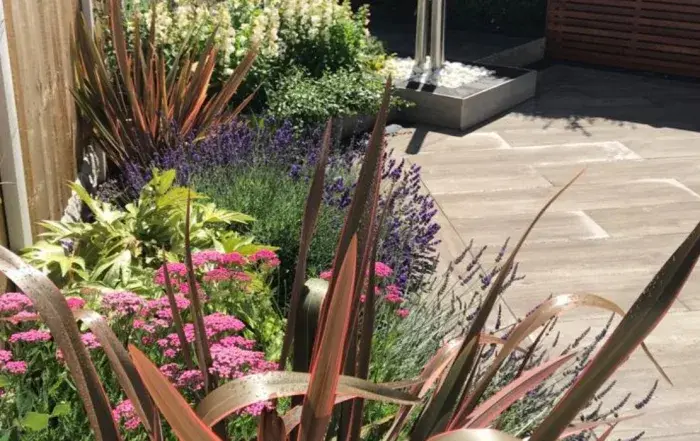 Seasonal Garden Care Tips Every Homeowner Should Know