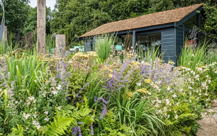 How to Add Structure to Your Garden with Trees and Shrubs